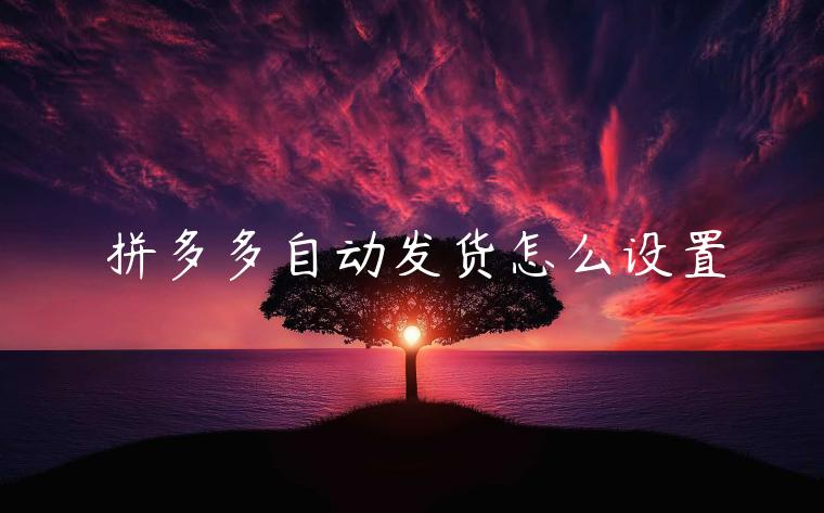 拼多多自動發(fā)貨怎么設(shè)置